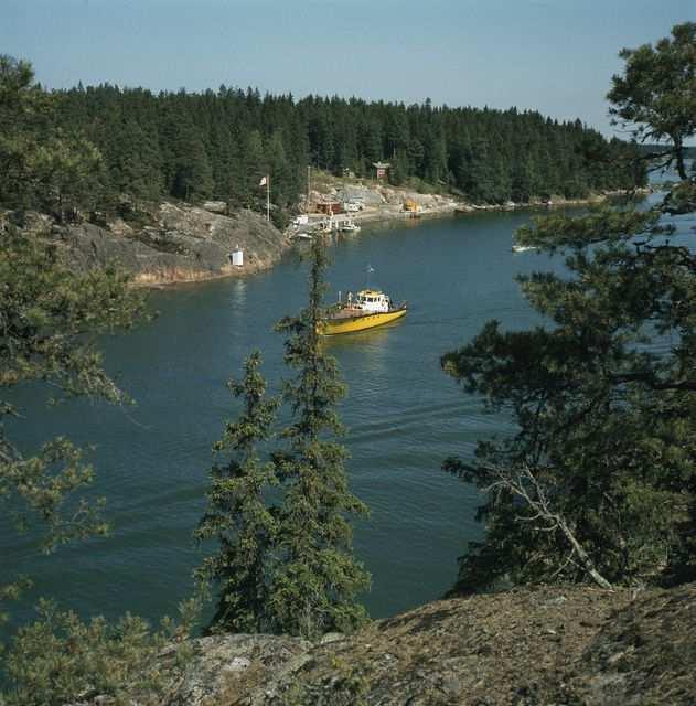 Kuvat: