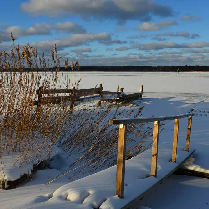 Andra biverkningar som kan förekomma: ny eller förvärrad hosta, andnöd, bröstsmärtor, gulfärgning av huden eller ögonvitor, att du lättare får blåmärken, blod i avföringen, viktminskning, viktökning,