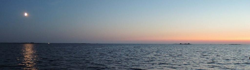 Bilaga 12 Arbetsprogram för 2020 Årsmöte Årsskriften Vänerdagen Övrig information Miljöövervakning Samförvaltning fiske