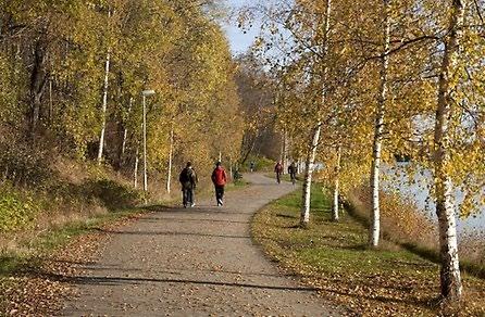 Aktivitetsanläggningar Umelagun, Fotbollsplaner, Gym, Musköten idrottsplan