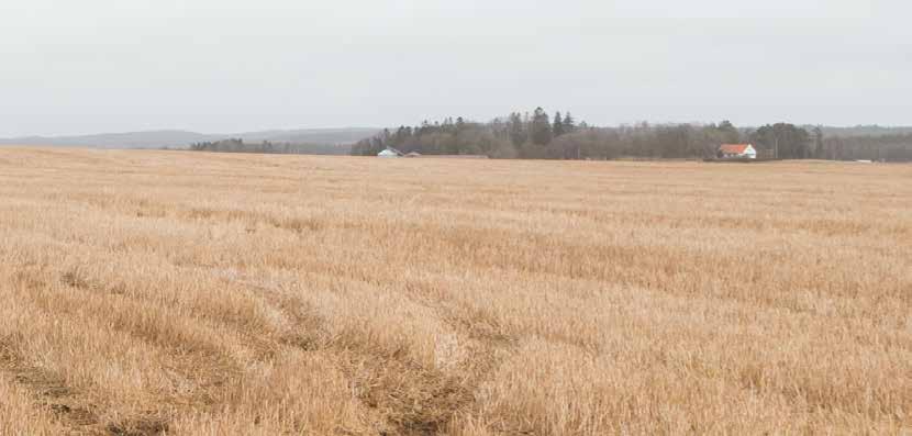 8 FRONTLASTARE MED PARALLELLFÖRING ARBETSVINKLAR* max brytvinkel max tömningsvinkel X1 S X2 S 46 42 47 50 LYFTHÖJD meter i armcentrum meter under plant redskap* m m 2.90 2.70 3.10 2.