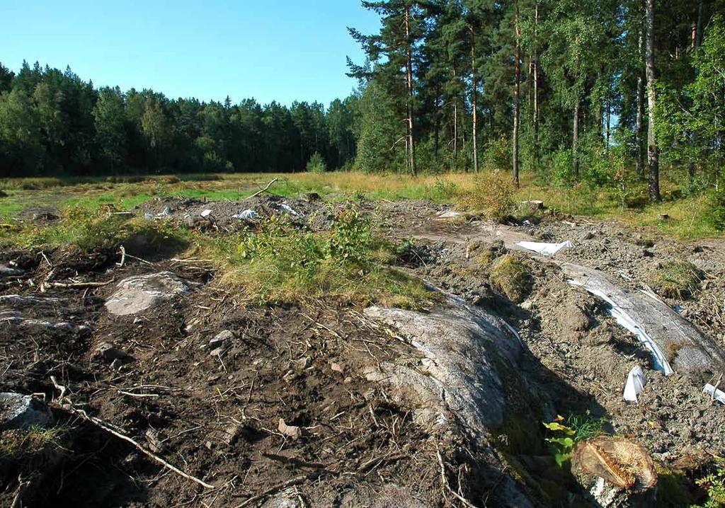 FORNMINNES- Information till fornminnesintresserade medlemmar i Täby Hembygdsförening NYTT Nr 13 Årgång 1 Augusti