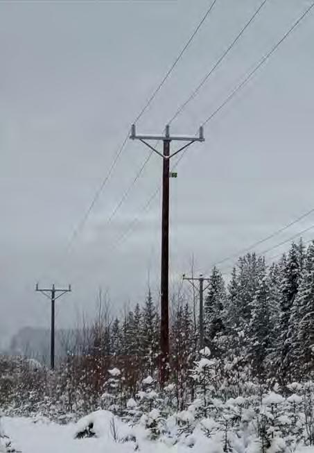 Aktuell ledning är uppförd enligt EBR 52 kv konstruktion. Ledningen består i huvudsak av enkelstolpar i trä försedd med stålreglar, se figur 3.