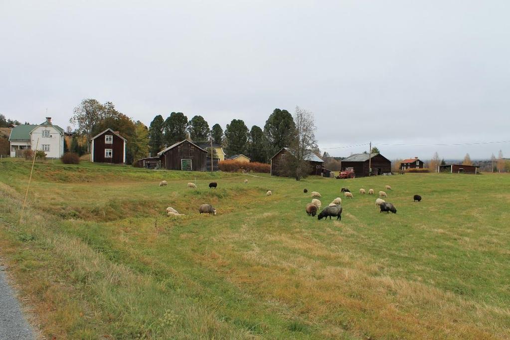 Bild 16. Väg 953 genom byn Sand 