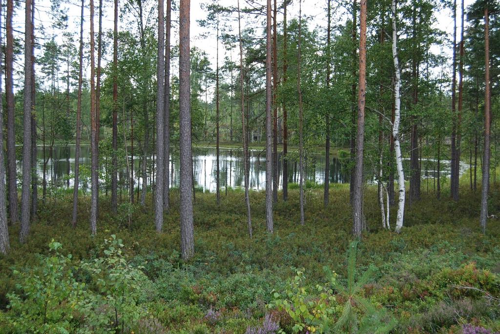 Nybro Holmaryd :9 Upplysningar/Visning Intresserade har möjlighet att på egen hand besiktiga marken. Visa vederbörlig hänsyn till både natur och grannar.