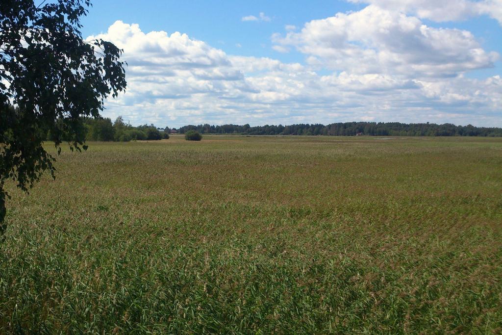 Klarälvsdeltat 6410 Bild