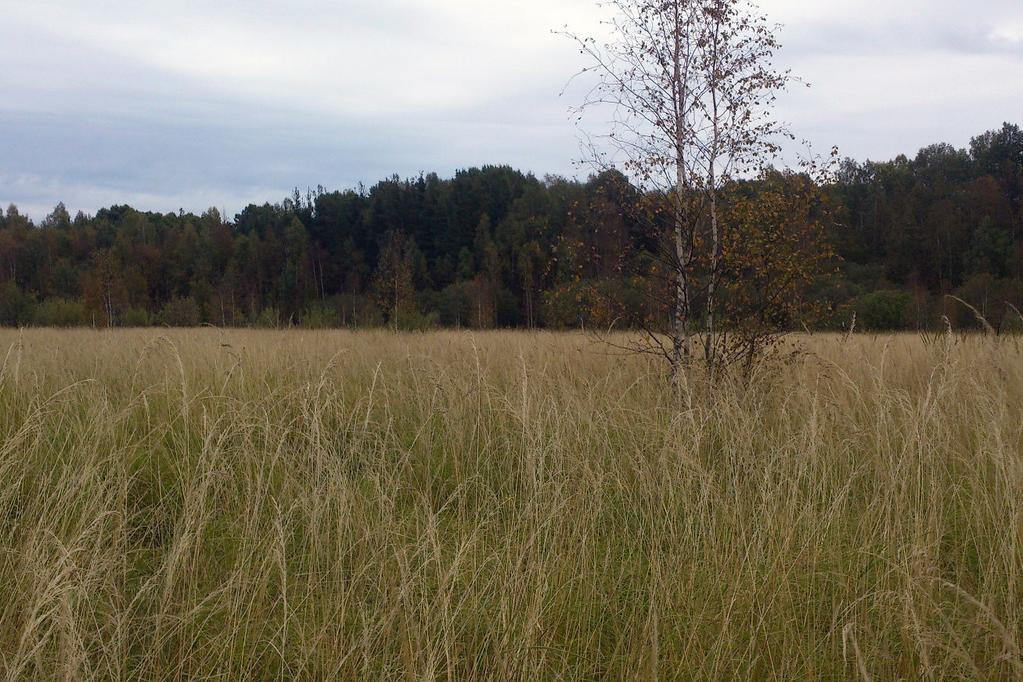 Nolgårdsviken