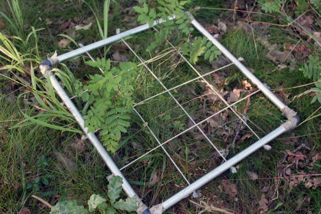 Bild 14. Exempelruta Nötön-Åråsviken 9070 Slåtteräng 6510 Uppföljningsenheten är liten, endast ca 1 ha och uppdelad på två små delytor, Arskagsudden och Hästudden.