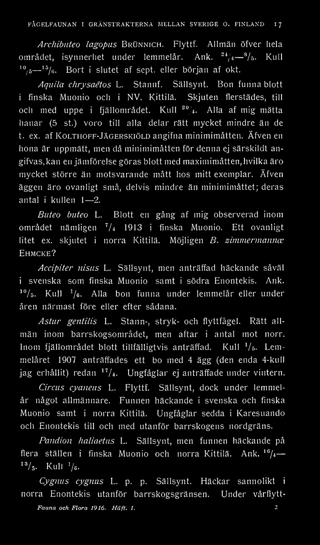 Skjuten flerstädes, till och med uppe i fjällområdet. Kull 20 4. Alla af mig mätta hanar (5 st.) voro till alla delar rätt mycket mindre än de t. ex. af Kolthoff-Jägerskiöld angifna minimimåtten.