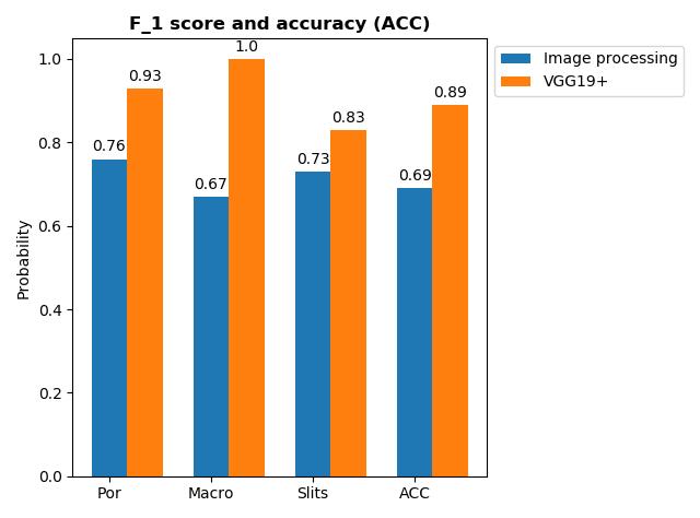 Figure 5.12: The F 1 score and final accuracy for the image processing approach and VGG19 model with data augmentation.