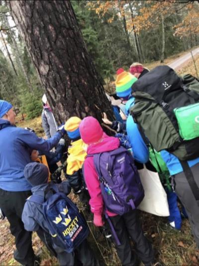 tränat på knopar, täljt