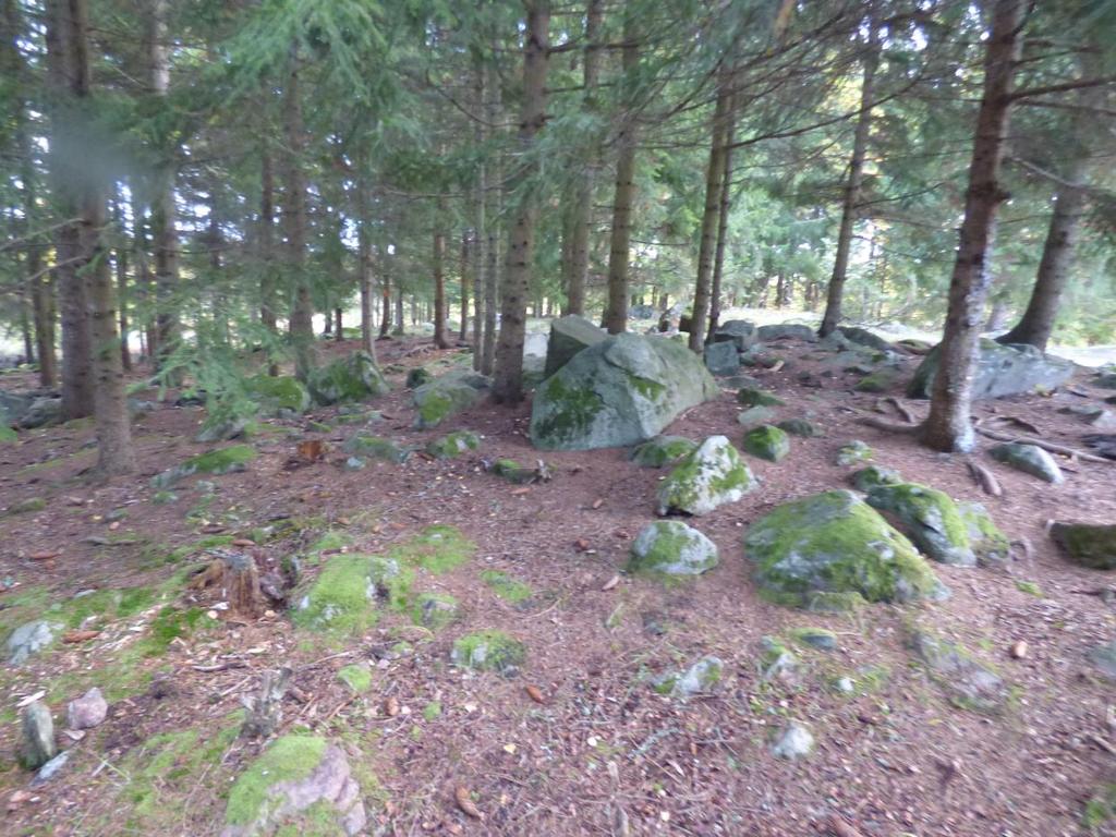 6 (14) Figur 2: Skog i norra planområdet som är en viktig del av utemiljön och som kommer sparas (Bild tagen av Senny Ennerfors).
