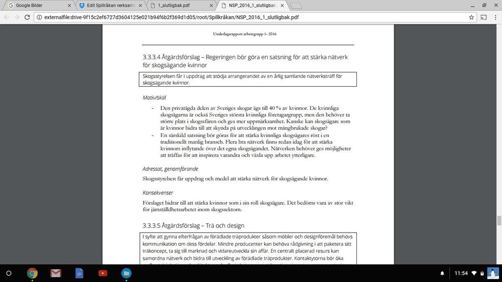 träffas årligen för att utveckla sina verksamheter. Vi delade även med oss av den forskning vi använt oss av till den tjänsteman som är ansvarig för genusperspektivet i skogen.