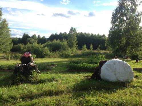 Något som varit väldigt bra när jag gjort nya bäddar genom att täcka direkt på gräsmattan utan att gräva är den