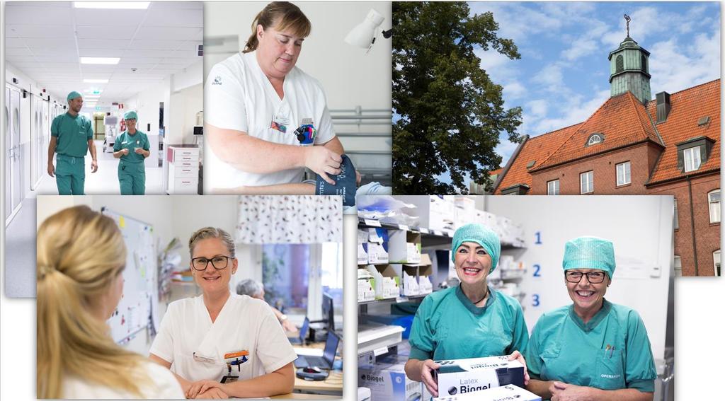 Sjukhusstyrelse Landskrona Verksamhetsplan och internbudget 2019 Postadress: 291 89 Kristianstad