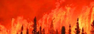1 Exempel på skogsbränder under senaste åren Sommaren 2018 i