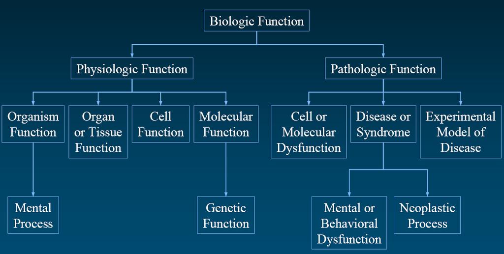 5M concepts 8M relations common presentation Other subdomains NCBI Clinical taxonomy Repositories SNOMED CT FMA UMLS Genetic