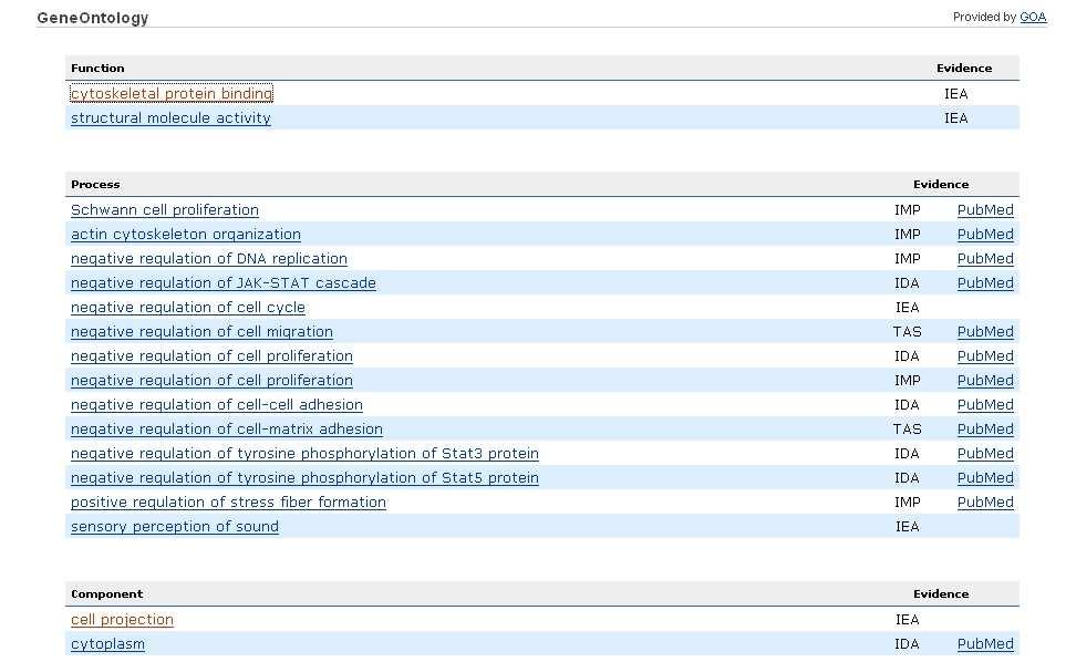 NF2 results from a mutationin the genenamed merlin, located on chromosome 22.