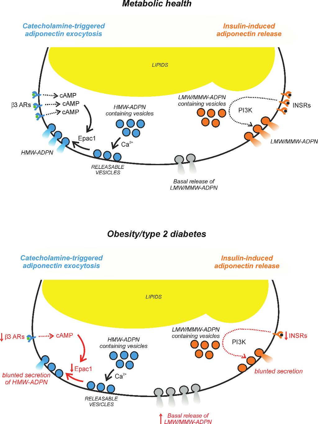 Fig. 17: Graphical conclusion based on our