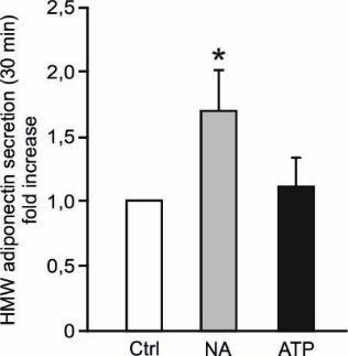 Summary of findings Paper III In paper III of this thesis, we show that, as expected, NA stimulates adiponectin release of a similar magnitude as that obtained with ADR.