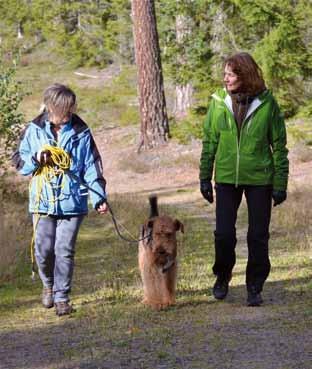 airedale.nu Vid eventuella frågor gällande boende och mat går det bra att kontakta Susanne Sarezäter sus@sydnet.