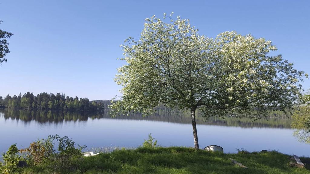 TILLSAMMANS FÖR TRYGGHET I