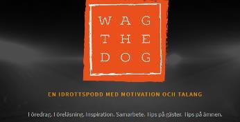 Motivation inom fysisk aktivitet och träning: Ett självbestämmande perspektiv Magnus Lindwall Professor i psykologi inriktning hälsopsykologi Psykologiska