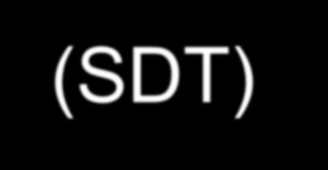 Self-Determination Theory (SDT) (Deci & Ryan, 1985, 2000) www.selfdeterminationtheory.