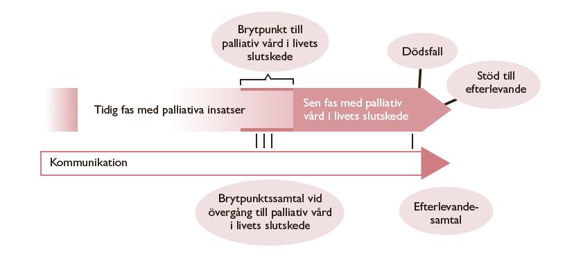 Maja 97 år Hypertensiv njursjd, sköter sig själv med hjälp av sina döttrar Kom till njurmott för 7 år sedan med egfr 10 ml/min/1,73m 2. Nu egfr 5 ml/min/1,73m 2 Diskreta uremiska symtom. Matleda.