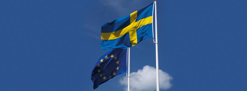 Årsrapport 2010 Generella frågor Regelrådet har ofta funnit brister i beskrivningen av alternativa lösningar vilket i många fall gjort det svårt att se om en för företagen mindre krånglig lösning
