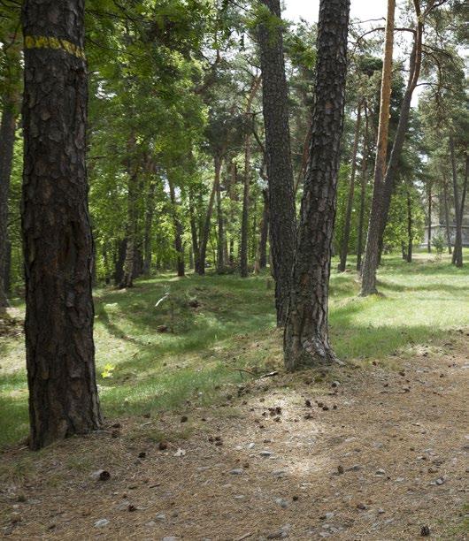 Kroås Välkomm att vadra är 10 km låg vadrigsled gom södra Uppsala, mella Studteras IP i orr och Skarholm i söder. Seda 2018 är d äv del av Uppladsled.