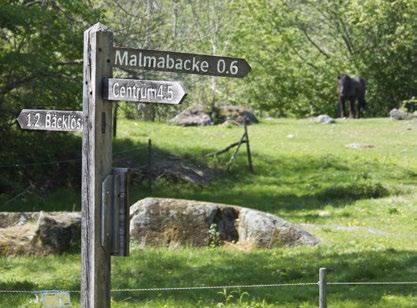 Ultua hagar ågra av Sveris äldsta tallar, vissa är över 300 år gamla. I Malma backe fis forlämigar frå st-, bros- och järålder.