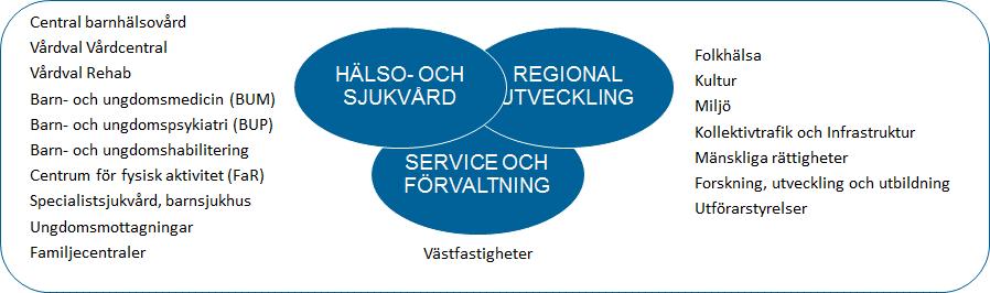 5 Utformningsprocessen Utformningen av handlingsplanen har letts av avdelning Folkhälsa och utformningsprocessen har präglats av hög grad av delaktighet från organisationen.
