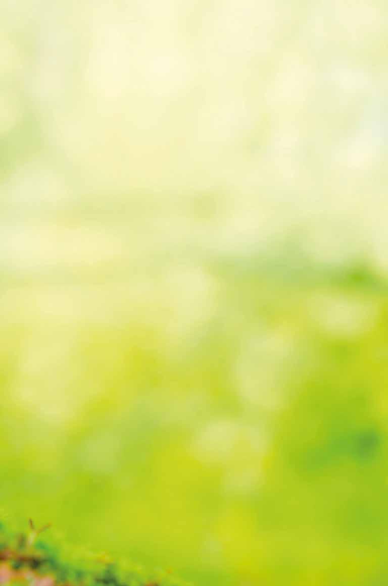 BILDER OCH ILLUSTRATIONER Bilder Pärmens bilder: istock Jenny Byman Bild 3