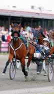 elsson & Stall ALS Grande rances Stall Oskar Galant Du Gy Stall Kerry Grande rances Stall Oskar 0 Per Carré Stall Röda Holme Speedy Nell Stall Snell & Stall Roma Jean