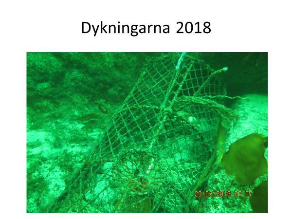 2018 döks vid Guleskärskajen, Smögenbrons pelare, vågbrytaren Smögens fiskehamn samt på ett antal ställen ute i havet där vi trodde att de kunde hitta hummertinor.