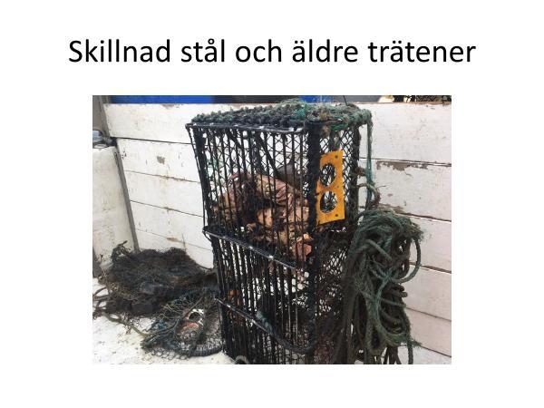 Här ser man tydligt skillnaden mellan äldre hummertinor med träribbor och stålhummertina. Trätinan faller ihop efter något år då skeppsmasken ätot upp träribborna, spökfisketiden är över.