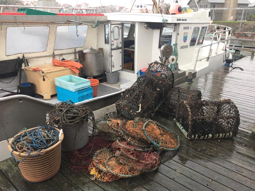 Dagsfångst en draggdag 2018. Dykning Vi provdök i två arbetsdagar 2017 för att se om det var ett fungerande sätt att ta upp förlorade fiskredskap.