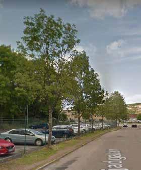 Inventering av träd som kan komma att beröras av byggnation av en stadslinbana i Göteborg Syftet med inventeringen är att bedöma om det finns skyddsvärda träd inom respektive planområde utmed