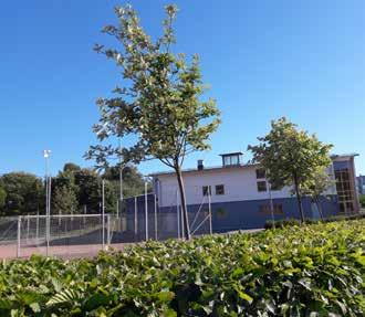 skolgården mot korsningen.