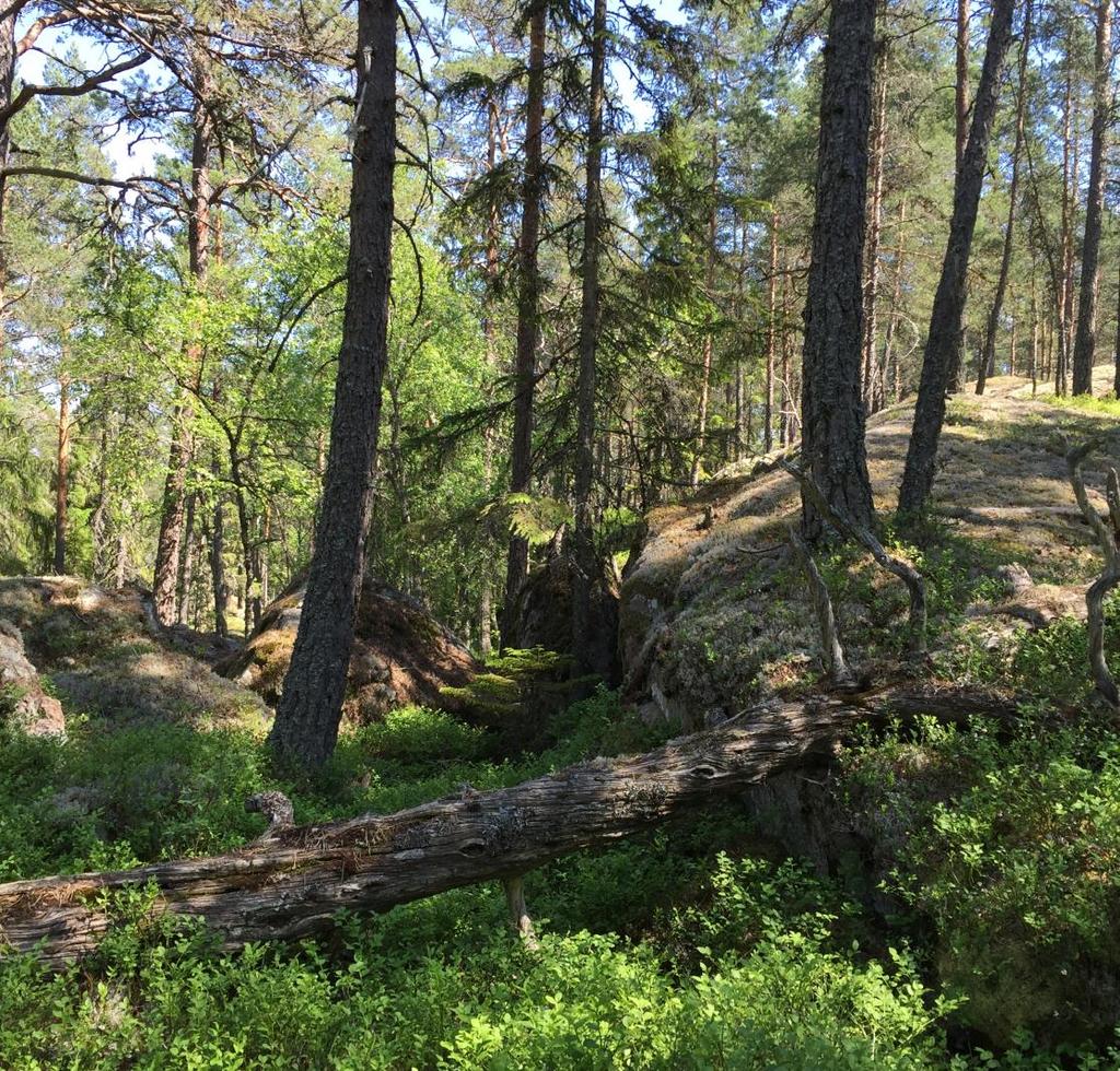 3.3.4 Intressen för friluftslivet De magra tallhällmarkerna är strövvänliga och brantpartierna och myrmarkerna gör området mångformigt och intresseväckande.
