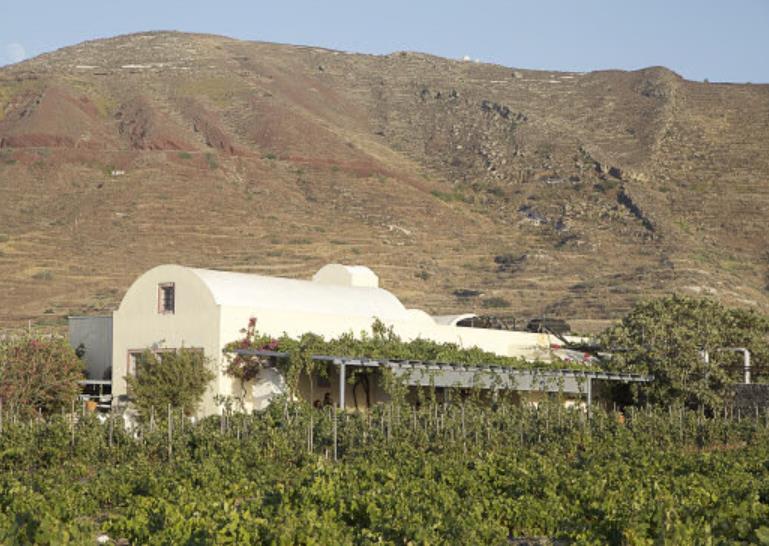 Domaine Sigalas Grundades 1991 Ca 300 000