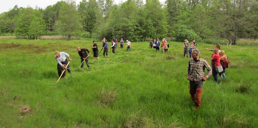 Sådana kombinationer kan även stärka överlevnadsmöjligheterna för organismer som gynnas av trädbärande halvöppna varma miljöer.