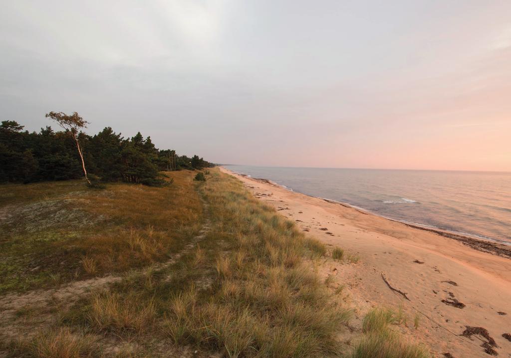 Vårda skog och kulturminnen Vi vårdar natur- och kulturmiljöer Foto: Johan Hammar Vi sköter om våra marker så att biologisk mångfald och olika landskapstyper bevaras och utvecklas.