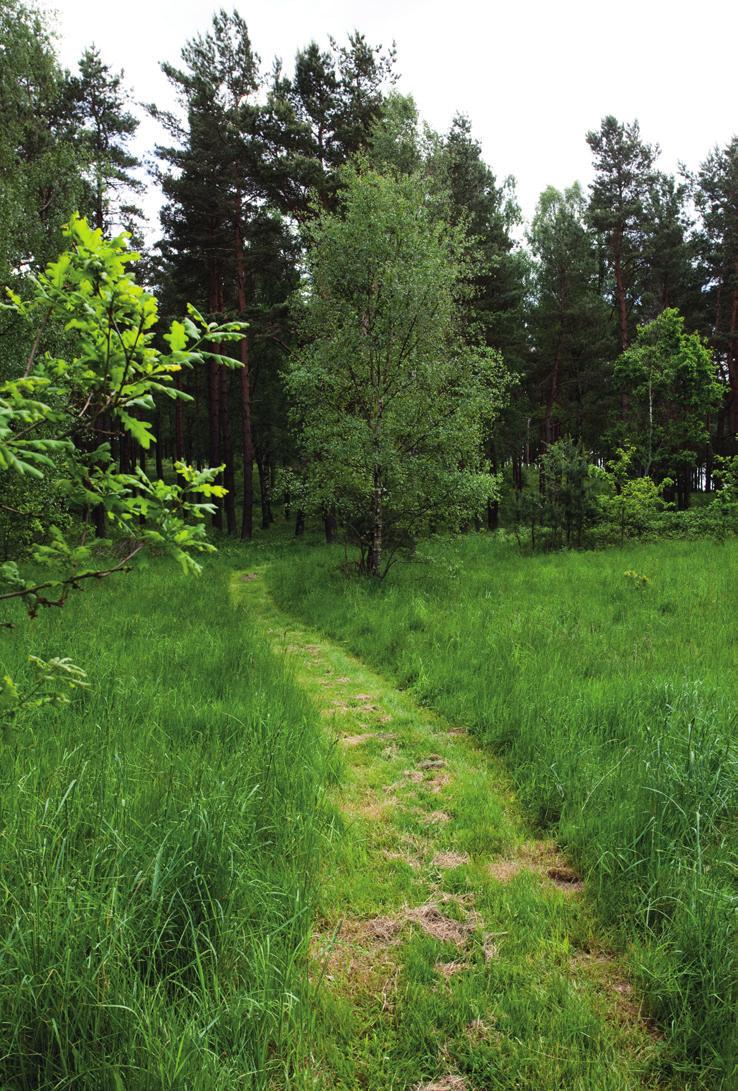 Genom några enstaka annonssatsningar via Blocket och sociala medier har våra stugor synts. foto: jenny brandt Vi uppmuntrar våra besökare att stanna ute lite längre. Och gärna lämna bilen hemma.