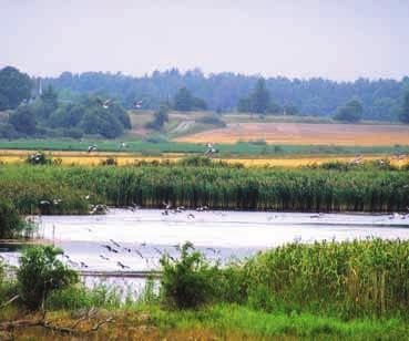 Sjön Hovran är en av Dalarnas artrikaste fågelsjöar. Den är internationellt utpekad sedan1988 som CW område (Conventions on Wetlands), och därmed bedömd som mycket viktig för våtmarksfåglar.