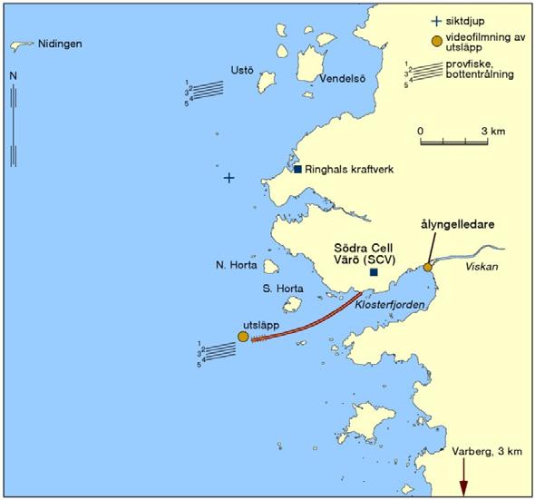 Hög näringsbelastning och sedimentation av organiska ämnen kan förväntas orsaka bottnar med låg syrehalt eller helt syrefria områden.
