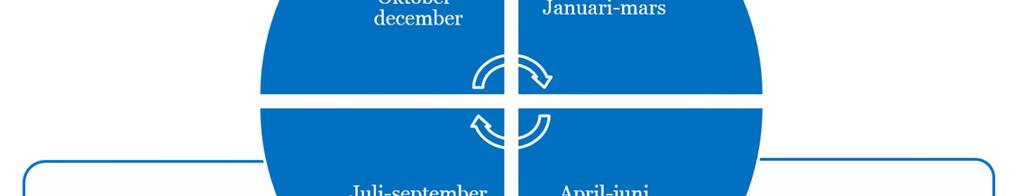 Inför revisionsplaneringen görs en väsentlighet och riskanalys som utgör en del av revisionens underlag för prioriteringar för kommande insatser.