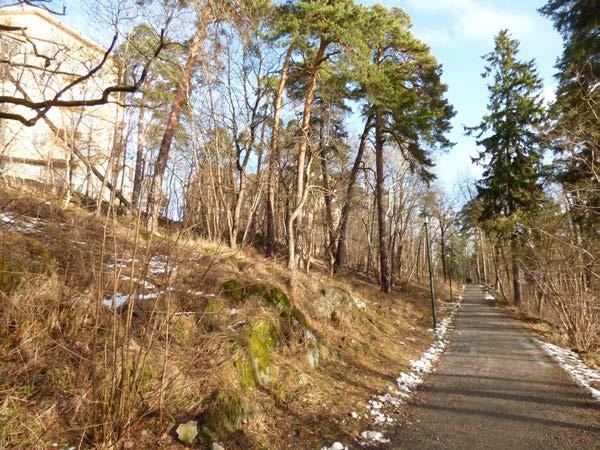 Området har klass 2 i ekinventeringen och hyser nio ekar med en stamdiameter på 80 cm eller mer. (s.k. jätteekar). Tre av ekarna har inventerats särskilt i samband med ekinventeringen.