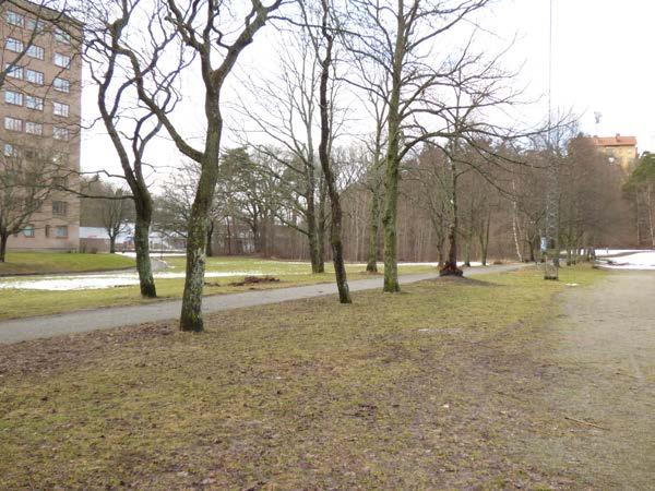 Omgivningarna Omgivningarna kring planområdet består av bebyggda områden med öar av natur, förutom mot Mälaren i norr, se figur 8.